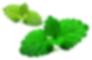 Shape1